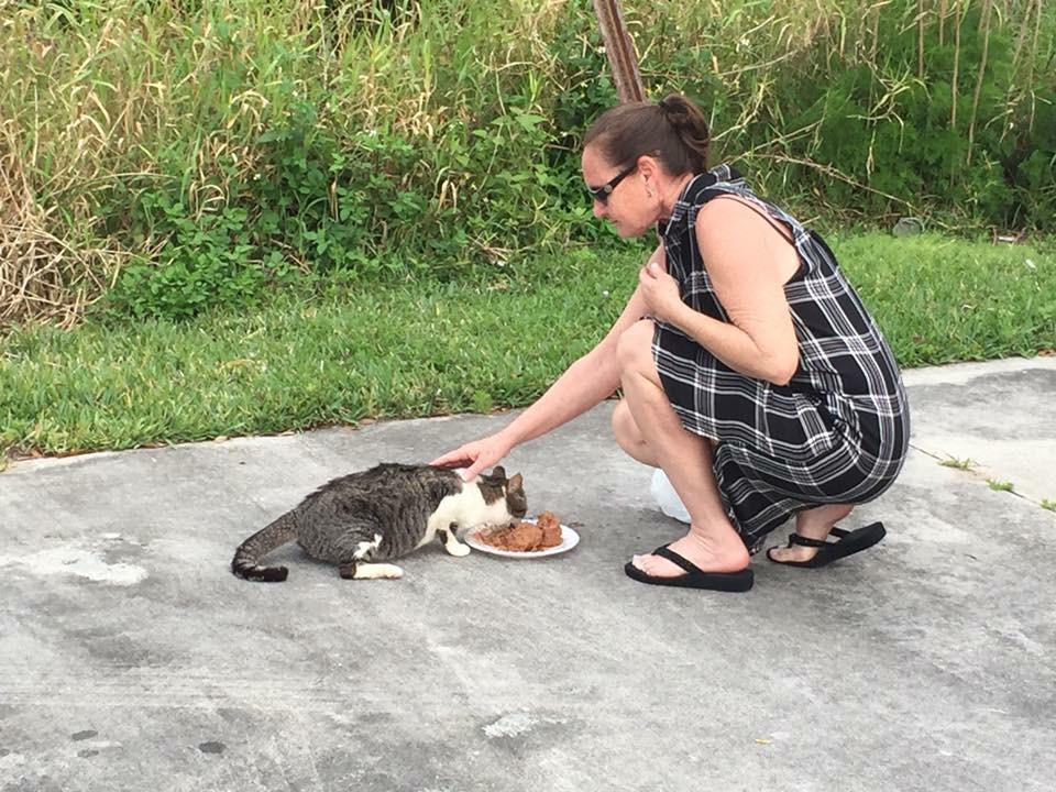 volunteer with cat